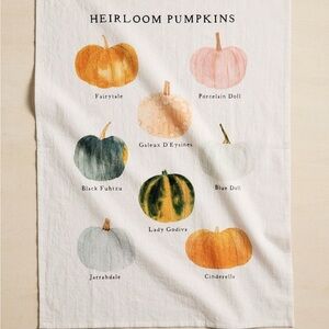 Anthropologie Heirloom Pumpkins Kitchen Towel - Multicolor